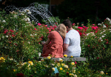 Randki Marty (I). W Ogrodzie Saskim