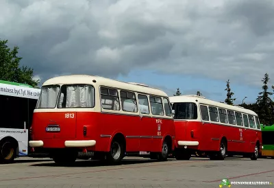 Starszych pań seksualne przygody (SPSP) 