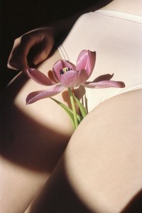 Zapach słodkiej zemsty (I)