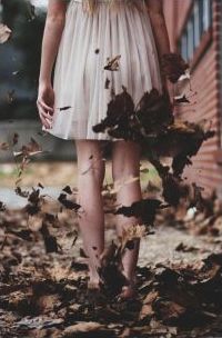 Róża kusząca jesienią